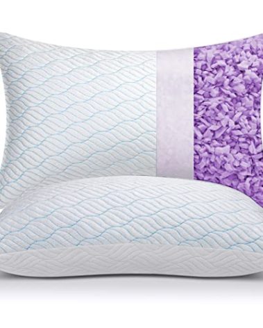 WISHSMILE Cooling Pillows Queen Size Set of 2, Memory Foam Pillows with Zipper, Adjustable Firmness for Sleeping Cool Cold Pillow to Hot, Side, Back and Stomach Sleepers, 2 Pack, 20x30