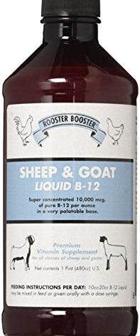 Rooster Booster B-12 Sheep and Goat Liquid, 16-Ounce