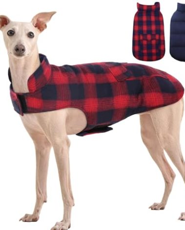 Kuoser Reversible Winter Coat, British Style Jacket for Small Medium Dogs - Warm, Windproof Puppy Cold Weather Vest, Red M