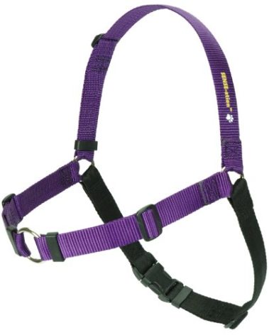 Sense-Ation Harness Sense-ation No-Pull Dog Harness (Purple, Large Wide) by