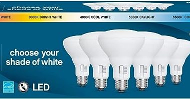 Feit Electric LED 5-Color Choice - BR30 65W Equivalent - 750 Lumen, 2700K Soft Whit, 3000K Bright White, 4000K Cool White, 5000K Daylight and 6500K Cool Daylight