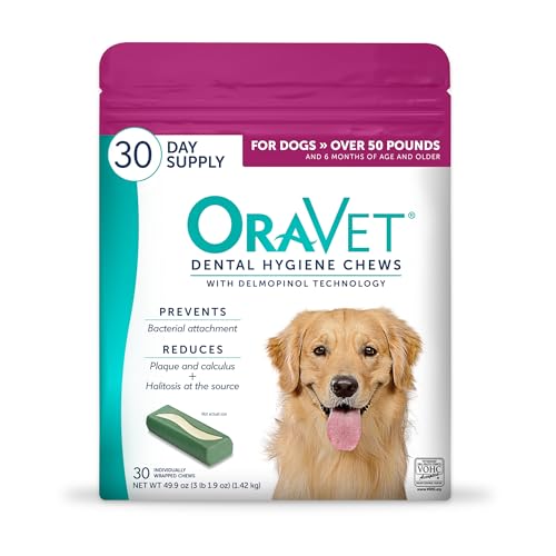 Version 1.0.0 Version 1.0.0