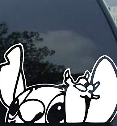 Pervertees Lilo - Stitch - Waiving - Auto Window Sticker Decal for Car Truck SUV Motorcycle (5.5", White)