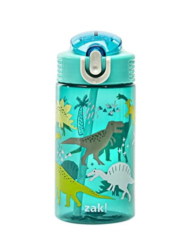 Zak Designs Kids Water Bottle For School or Travel, 16oz Durable Plastic Water Bottle With Straw, Handle, and Leak-Proof, Pop-Up Spout Cover (Dinosaur)