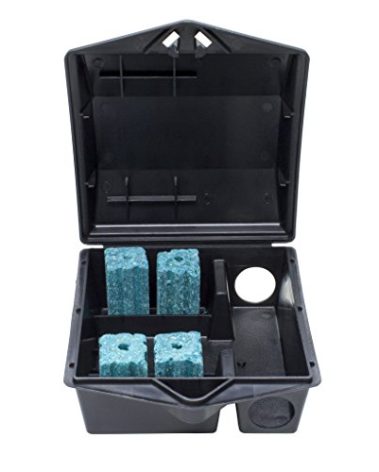 Protecta Mouse Bait Station - 12 Stations