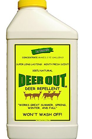 Deer Out 32oz Concentrate Deer Repellent