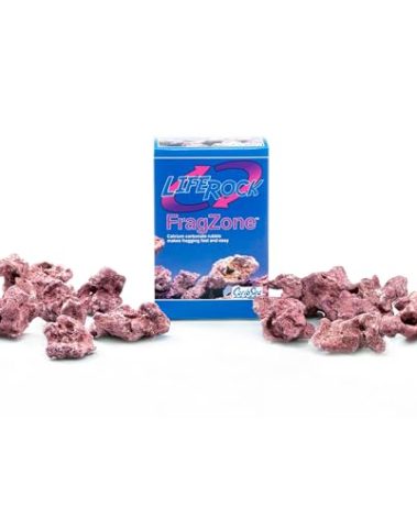 CaribSea Life Rock Frag Zone – 2.25 lb – Natural Aragonite-Based Frag Mounts for Reef Tanks – Ideal for Coral Frag Growout – Supports Healthy Coral Attachment