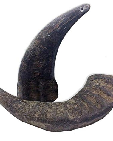 2 Pack of Buffalo Hornz Medium Long Lasting 100% Natural Water Buffalo Horn Dog Chews