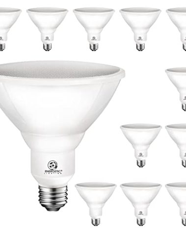 Energetic 100W Outdoor Par38 Led Flood Light,1250lm,5000K Daylight,Dimmable, E26 Base,Waterproof Spot Bulb,UL Listed (12 Pack)