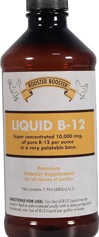 Rooster Booster B-12 Liquid, 16-Ounce