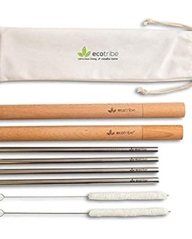 Ecotribe 4 Reusable Metal Straws with Portable Case - Stainless Steel, 8.5” - Eco-Friendly Drinking Straw Set with 2 Cleaning Brushes & Travel Bag