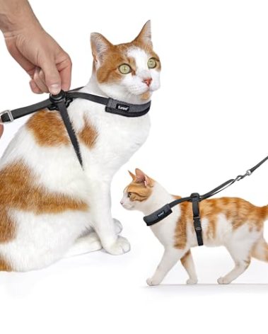 Furee Omni-fit Cat Harness, Push-Button Adjustable, Escape-Proof, Lightweight, No Bulk, Minimal Design, for Max Mobility and a Comfortable Fit on Cats (Medium)