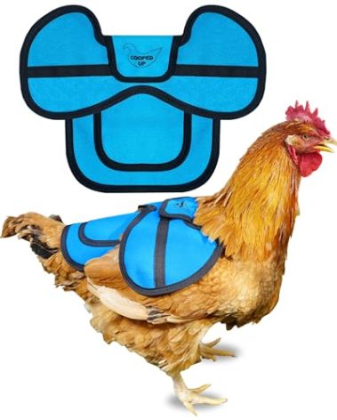 COOPED UP Canvas Chicken Saddle for Medium-Large Hens with Larger Wing Cover and Adjustable Straps - Blue