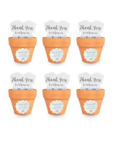 Seed Bloom Set of 6 Seed Paper – 6 Blue Onesie & 6 Orange Pots with Stickers for Baby Shower, Gender Reveal, Birthday, Mother's Day & Other Milestone Celebrations