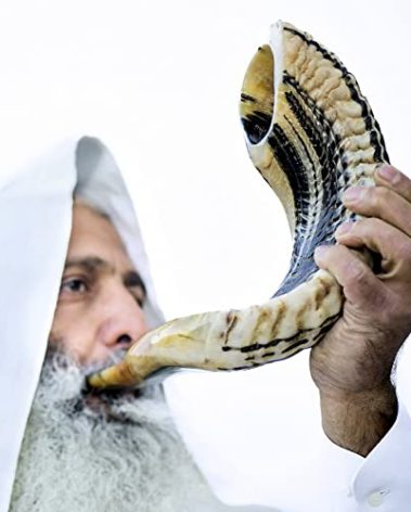 Holy Voice Kosher Ram Shofar Horn from Israel Traditional Half Polished, Holy Land Ancient Jewish Musical Instrument, Smooth Mouthpiece for Easy Blowing, Clear Sound Shofar (14"-16")