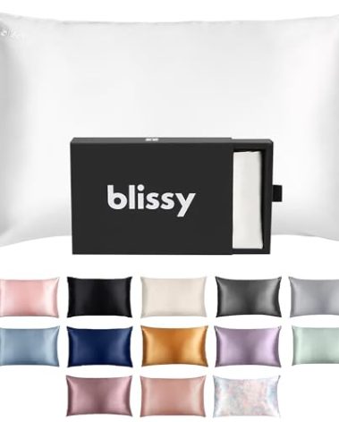 Blissy Silk Pillowcase - 100% Pure Mulberry Silk - 22 Momme 6A High-Grade Fibers - Silk Pillow Cover for Hair & Skin - Regular, Queen & King (Blissy White, Standard)