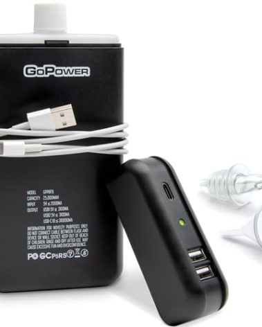 GoPong Power Bank Flask (8 oz) - Hidden Alcohol Travel Flask – Secret Liquor Container for Beaches, Cruises, and Sports Events – Includes Funnel & Spout