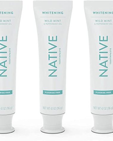 Native Toothpaste Made from Naturally-Derived Cleaners and Simple Ingredients That Safely Whitens Teeth, 4.1 oz, Wild Mint Fluoride Free - 3 Count
