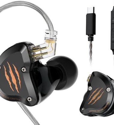 In Ear Monitors Headphones, HiFi Wired Earbuds with Noise Isolating, Type-C with Microphone Earphone, IEM Headset with Detachable Recessed 2Pin Cable for Gaming, Musicians, Singer (with Mic USB-C)