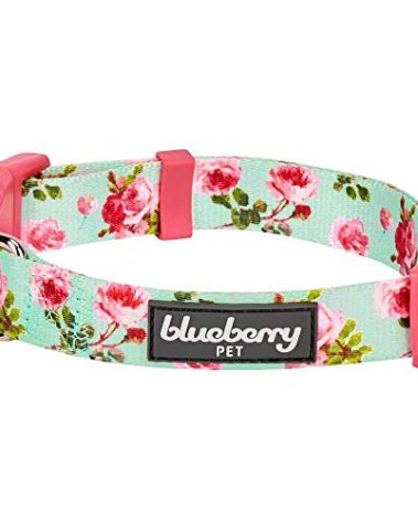 Blueberry Pet Floral Rose Turquoise Dog Collar - Cute Girl Collars for Large Girl Dog Collars, Adjustable & Durable Collar for Dogs, Neck 18-26"