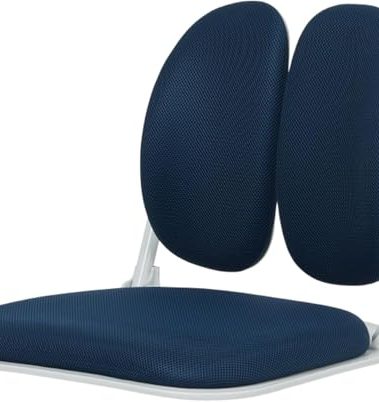 Made in Korea Dual-Backrests Ergonomic Floor Chair With Back Support - Meditation, Gaming, Reading Chair for Adults, Foldable (Blue)