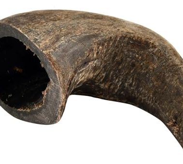 QT Dog Buffalo Hornz Water Buffalo Horn Dog Treat