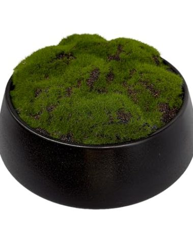Macomine Design Moss Bowl | 8" Diameter | Artificial | Lightweight Ceramic Bowl | Home Décor