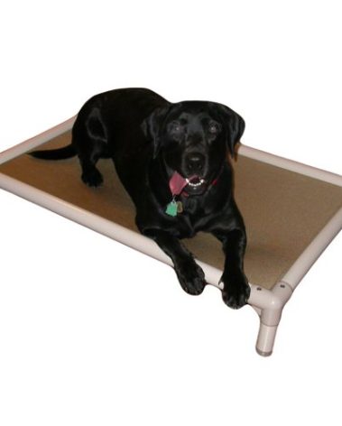 Kuranda Chewproof Bed - Almond PVC - 35" x 23" - Cordura Nylon - Gold