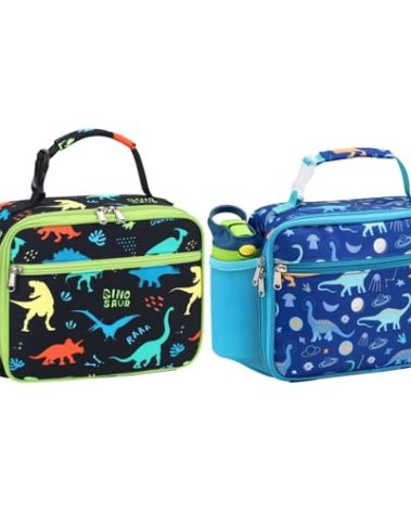 Bagseri 2 Packs Kids Lunch Bag for Boys - Insulated Kids Lunch Box for Daycare and School Reusable Meal Tote Bag with Water Bottle Holder, Black Dinosaur and Blue Dinosaur