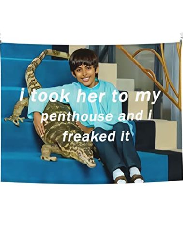 HYYCCUE I Took Her To My Penthouse Ravi Wall Hanging - Essential Tapestry For College Dorm Room, Bedroom & Living Room - 29"x37"