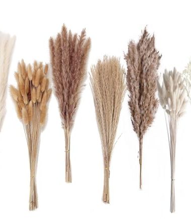 Dried Pampas Grass Decor, 128PCS Pampas Grass with Bunny Tails Dried Flowers, Reed Grass Bouquet for Wedding, Boho Flowers, Home Table Decor, Rustic Farmhouse Party