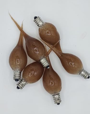 On The Bright Side Primitive Silicone Dipped 5 Watt Light Bulb - Pack of 6 - Rustic Brown Color