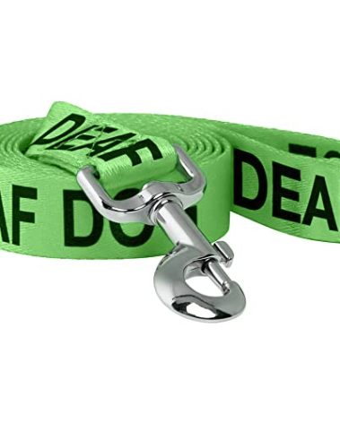 Native Pup Service Dog Leash, Blind, Deaf Alert Accessories (Deaf)