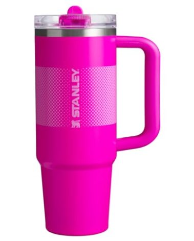 Stanley Quencher ProTour Flip Straw Tumbler with Leakproof Lid 30 oz | Built-In Straw and Handle | Cup Holder Compatible for Travel | Insulated Stainless Steel Cup | BPA-Free | Vivid Violet Fade