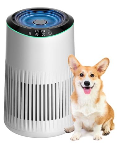 MERONTE Air Purifiers for Home, Air Purifier for Smoke Odors with Fragrance Sponge, Small Air Purifier with Sleep Mode for Bedroom Office, Blue Night Light, White, 1 Pack+3 Modes