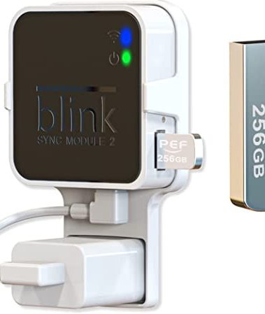 256GB Blink USB Flash Drive for Local Video Storage and The Outlet Mount for Blink Sync Module 2(Blink Add-On Sync Module 2 Itself is NOT Included)