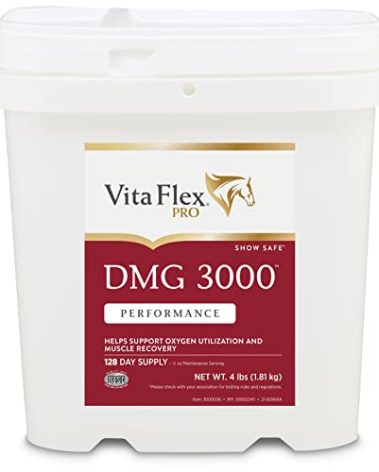 Vita Flex Pro DMG 3000 Horse DMG Concentrate, 4 Pounds, 128-Day Supply