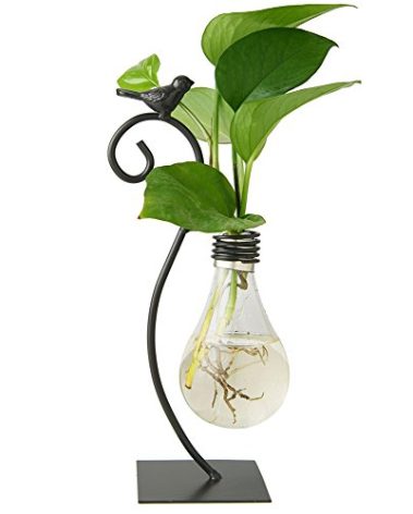Marbrasse Desktop Glass Planter Hydroponics Vase,Planter Bulb Vase with Holder for Home Decoration,Modern Creative Bird Plant Terrarium Stand, Scindapsus Container (Bulb Vase)