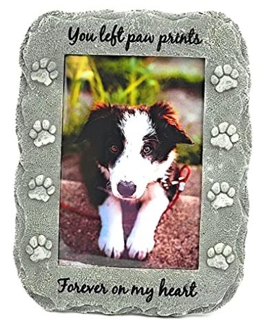 NewLifeLandia Pet Memorial Picture Frame Keepsake for Dog or Cat, Perfect Loss of Pet Gift for Remembrance and Healing (Grey)