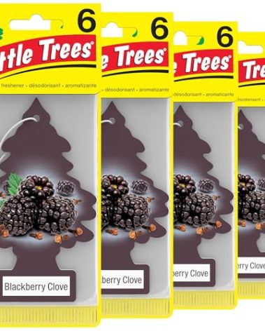 LITTLE TREES Car Air Freshener | Hanging Tree Provides Long Lasting Scent for Auto and Home | Blackberry Clove, 24 Air Fresheners