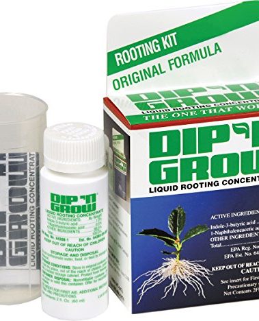 Dip 'N Grow Liquid Rooting Hormone, 2 Ounce