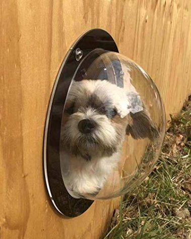 BobbyPet Dog Fence Window - Acrylic Clear View Dome Pet Peek Window - 12.4in for Dog/cat/Horse,Even Children