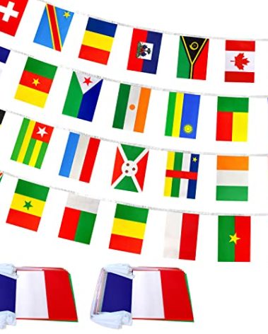 LoveVC 2 Packs 29 French Language Speaking Countries Flags Banner String,70 Feet 58 Flags