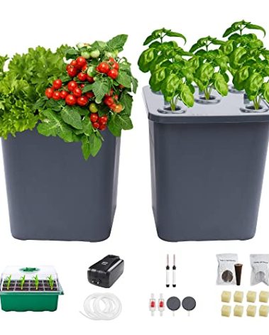 LAWNFUL 2 Hydroponic Buckets Kit for Plants, Hydroponics Growing System for Herbs/Tomato/Vegetables, DWC System with Air Pump & Germination Tray (Complete Indoor Hydroponic Gardening Supplies)