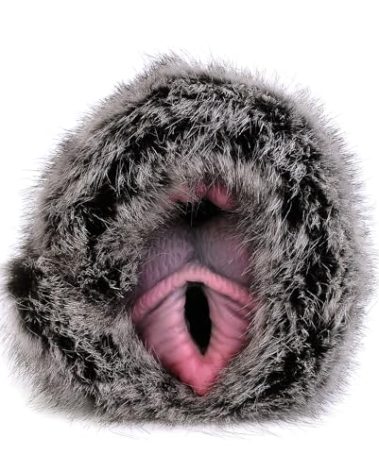 6.5in Black Dog Dual Channel Male Masterburters, Pocket Pussy Sucking Toy Silicone Plush Adult Male Masterbaters with Fur Sex Toys, Realistic 3D Vagina Anal Textured Masturbater Cup