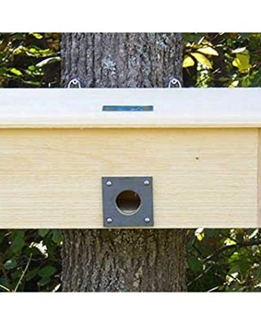 Horizontal Winter Roost Bird House | Safe & Spacious Roosting Box for Cold Weather | Slate Predator Guard | Insulated 1" Pine | Made in USA | Fits Chickadees, Nuthatches, Wrens & More