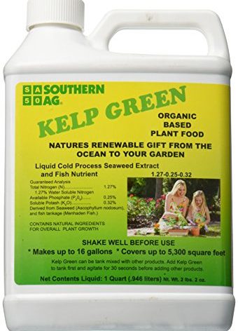 Kelp Green Liquid Organic Plant Food (Quart)