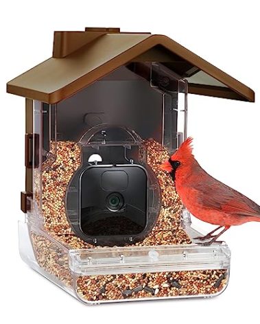Wasserstein Bird Feeder Camera Case Compatible with Blink, Wyze & Ring Security Cameras Including Blink Outdoor 4, Wyze Cam OG & Ring Stick Up Camera (Camera NOT Included)