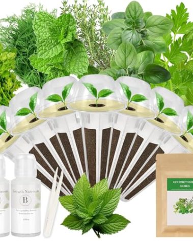 Gourmet Herbs Seed Pod Kit for AeroGarden, iDoo, Ahopegarden, MUFGA Hydroponics Garden with Basil, Parsley, Thyme, Mint, Cilantro, Dill, Oregano - Compatible with All Hydroponics (7-Pod)