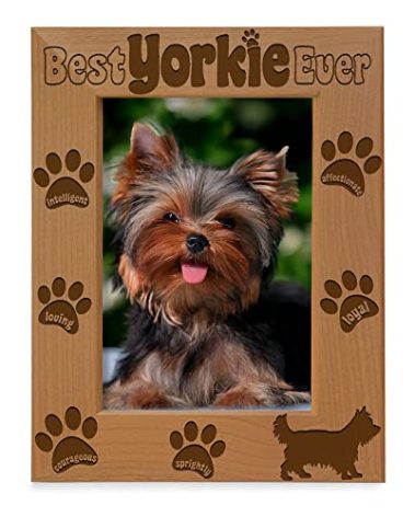 KATE POSH Best Yorkie Ever Engraved Leather Picture Frame, Pet Memorial Gifts, New Puppy Gifts, Dog Lover Gift, Paw Prints on My Heart (5x7 Vertical)